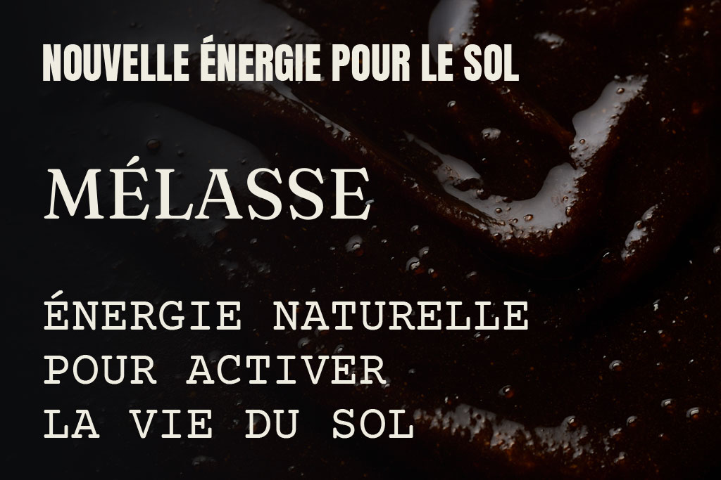 Melasse 500ml